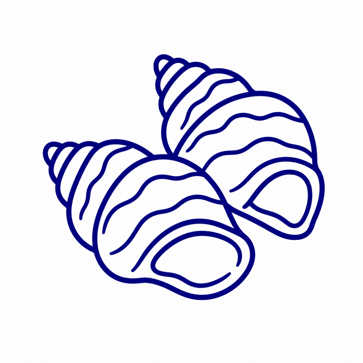 精选海鲜